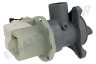 Hotpoint Waschmaschine Pumpe Ablaufpumpe