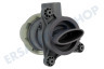 Hotpoint Waschmaschine Pumpe Ablaufpumpe