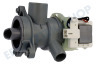 Hotpoint Waschmaschine Pumpe Ablaufpumpe