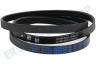 Samsung Waschmaschine 6602-003939 Riemen