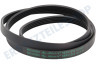 Samsung 6602-003993 Keilriemen