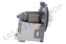 Samsung Waschmaschine DC31-00030A Pumpe Ablauf, ohne Pumpenhaus
