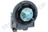 Samsung Waschmaschine DC31-00181A Ablaufpumpe