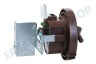 Samsung Waschmaschine DC97-00731A Wasserstandsregler Druckschalter