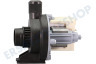 Arthur martin elux Waschmaschine Pumpe Askoll Fin=25 Fuit=16
