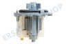 Faure Waschmaschine Pumpe Ablaufpumpe, Magnetpumpe