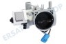 Indesit Waschmaschine 5859EN1006S Pumpe Ablaufpumpe
