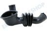 Haier Waschmaschine Schlauch Wanne - Pumpe