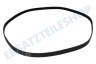 Candy Waschmaschine 0020300592 Antriebsriemen 1216EPJ6
