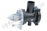Haier Waschmaschine 0020400241 Pumpe Ablaufpumpe Pumpe mit Pumpengehäuse
