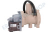 Haier Waschmaschine Ablaufpumpe