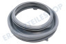 Hisense Waschmaschine HK1913551 Manschette Türmanschette