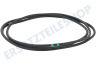 Hisense Waschmaschine Gummidichtung