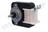 Gorenje Waschmaschine Motor des Ventilators