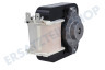 Gorenje Waschmaschine Motor des Ventilators