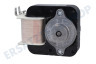 Gorenje Waschmaschine Motor des Ventilators