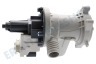 Gorenje Waschmaschine Pumpe Ablaufpumpe B12-6A