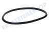Zanker Trockner Filzband Trommeldichtung vorne (Filz und Gummi)