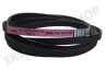 Lux Trockner 1258288222 Poly-V-Riemen 1975H7