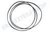 Lux Trockner 1258288222 Poly-V-Riemen 1975H7