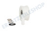 Blomberg Trockner Spannrolle Breit -mit 2 Lager-