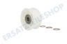 Blomberg Trockner Spannrolle Breit -mit 2 Lager-