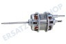 Zanker Trockner Motor Antriebsmotor HP P10