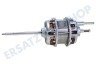 Philco Trockner Motor Antriebsmotor HP P10