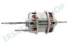 Electrolux Trockner Motor Antriebsmotor