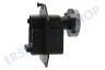 Electrolux Trockner Pumpe Kondensatpumpe