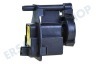 Hotpoint-ariston Trockner C00306876 Pumpe Ablauf