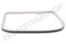 Bosch Trockner Filzband Vorderseite