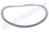 Constructa Trockner 637515, 00637515 Türdichtung