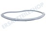 Constructa Trockner 637515, 00637515 Türdichtung