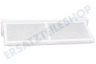 Koenic Trockner 00652184 Filter Flusenfilter