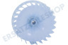 Profilo Trockner 647542, 00647542 Lüfterrad Kunststoff -13,5cm-