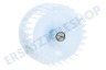 Constructa Trockner 650172, 00650172 Lüfterrad Frontlüfter