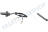 Constructa Trockner Sensor NTC-Sensor