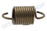 Hoover Trockner Spannrollen-Feder
