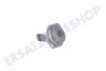 Hoover Trockner Thermostat 85 Grad