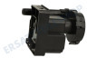 Haier Trockner Kondensatpumpe
