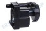 Blomberg Trockner Pumpe Kondensatpumpe