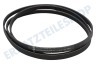 Miele Trockner Keilrippenriemen geeignet für Miele 5PJ 1880