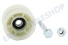 Bauknecht Trockner Spannrolle mit Befestigungsmaterial