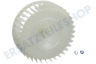 Whirlpool Trockner Fan