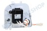 Hotpoint Trockner Pumpe Ablaufpumpe, 13W