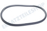 Samsung Trockner DC62-00440A Türgummi