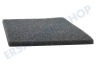 Gorenje Trockner 346890 Filter Schaumfilter am Kondensator