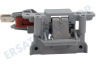 Hotpoint Spülmaschine 362097, C00362097 Schloss Inkl. Schalter