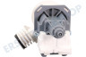 Rosieres Spülmaschine Pumpe Ablaufpumpe, Magnet -Plaset-